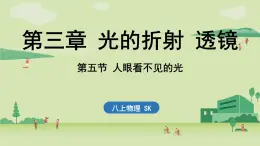 苏科版八年级物理上册课件 第四章 第五节 人眼看不见的光