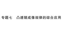 人教版（2024）復(fù)習(xí)與提高作業(yè)課件ppt