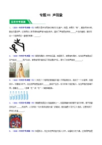專題02 聲現(xiàn)象-5年（2020-2024）中考物理1年模擬真題分類匯編（河南專用）