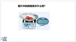 北师大版物理八年级下册 6.1 物体的质量及其测量 课件 (1)