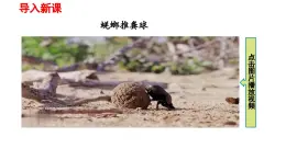 2025年春人教版物理八年級(jí)下冊(cè) 第八章 第4節(jié)  《同一直線上二力的合成》課件
