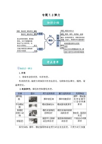 專題02 彈力（知識(shí)點(diǎn)+例題+習(xí)題）-2024-2025學(xué)年八下物理期末考點(diǎn)專題（人教版2024）