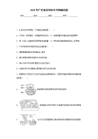 廣東省深圳市2020年中考物理試題