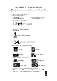 2020年黑龍江省七臺河市中考物理試卷