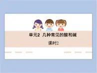 《幾種常見的酸和堿》第二課時教學(xué)課件