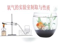 2020-2021學(xué)年到實(shí)驗(yàn)室去：氧氣的實(shí)驗(yàn)室制取與性質(zhì)課前預(yù)習(xí)課件ppt
