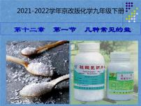 2021學(xué)年第一節(jié) 幾種常見的鹽示范課課件ppt