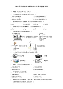 2022年云南省西雙版納傣族自治州中考化學(xué)模擬試卷(word版無答案)