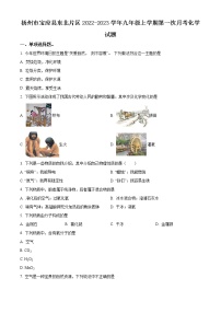 扬州市宝应县东北片区2022-2023学年九年级上学期第一次月考化学试题（含解析）