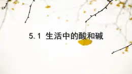 滬教版（上海）初中化學(xué)九年級下冊 5.1生活中的酸和堿 課件PPT