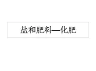 滬教版（上海）初中化學(xué)九年級下冊 6.2 鹽和肥料—化肥 課件PPT