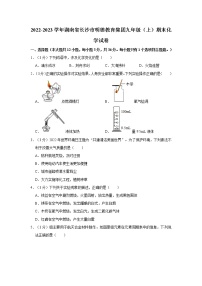 2022-2023学年湖南省长沙市明德教育集团九年级（上）期末化学试卷