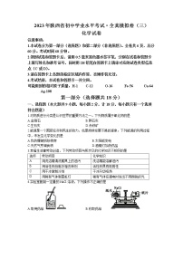 2023年陕西省榆林市第十中学中考二模化学试题