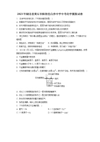 2023年湖北省黄石市阳新县白沙中学中考化学模拟试卷（含答案解析）