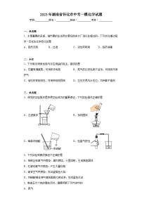 2023年湖南省怀化市中考一模化学试题（无答案）