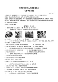 山东省济南市实验初级中学2023-2024学年九年级上学期10月月考化学试题