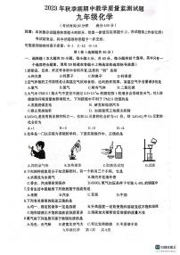 广西贵港市覃塘区2023-2024学年九年级上学期期中考试化学试题