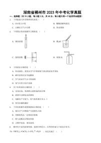 湖南省2023年中考化學(xué)真題十套附參考答案