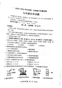 山东省泰安市东平县2023-2024学年九年级上学期11月期中考试化学试题