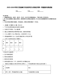 2023-2024学年江苏省靖江市实验学校九年级化学第一学期期末经典试题含答案