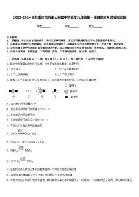 2023-2024学年重庆市西南大附属中学化学九年级第一学期期末考试模拟试题含答案
