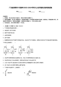 广东省深圳市十校联考2023-2024学年九上化学期末达标检测试题含答案