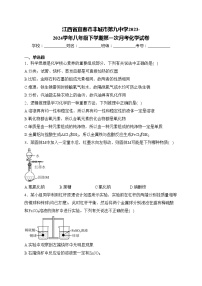 江西省宜春市丰城市第九中学2023-2024学年八年级下学期第一次月考化学试卷(含答案)