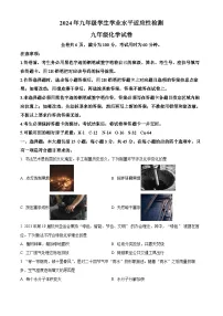 2024年广东省惠州市博罗县中考一模化学试卷（原卷版+解析版）