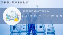 滬教版（2024）九年級上冊（2024）第3節(jié) 自然界中的碳循環(huán)獲獎?wù)n件ppt