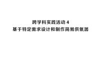 人教版(2024)九年級(jí)上冊(cè)(2024)跨學(xué)科實(shí)踐活動(dòng)4 基于特定需求設(shè)計(jì)和制作簡(jiǎn)易供氧器作業(yè)ppt課件