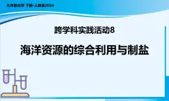 【核心素養(yǎng)】人教版化學九年級下冊 跨學科實踐活動8 海洋資源的綜合利用與制鹽 同步課件+同步教案+同步練習