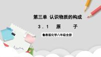 魯教版（五四學(xué)制）（2024）八年級(jí)全冊(cè)（2024）原子優(yōu)秀ppt課件
