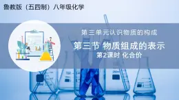 【魯教版五四制】八年級化學  3.3 物質(zhì)組成的表示 第2課時（課件+講義+教學設計+導學案+分層作業(yè)含解析版）