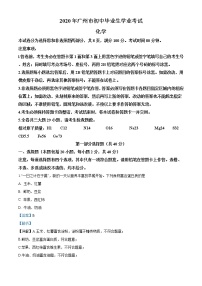 广东省广州市2020年中考化学试题（解析版）