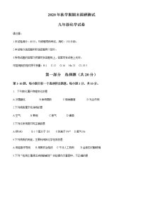 江苏省泰州市兴化市2020-2021学年九年级上学期期末化学试题