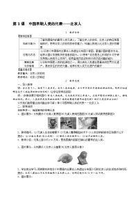 人教部编版七年级上册第一单元 史前时期：中国境内人类的活动第一课 中国早期人类的代表—北京人教学设计