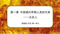 初中历史人教部编版七年级上册第一课 中国境内早期人类的代表—北京人背景图ppt课件