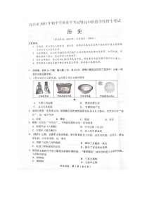 2023年四川省宜賓市中考歷史真題