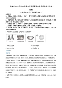 2023年四川省宜賓市中考歷史真題（解析版）
