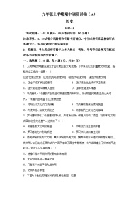 河南省安阳市滑县2023-2024学年九年级上学期11月期中历史试题（含解析）