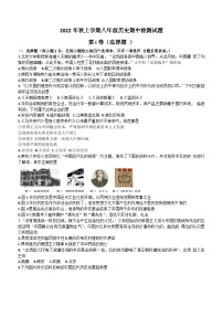 湖北省武汉市新洲区阳逻街三校2022-2023学年上学期八年级期中历史试题（无答案）