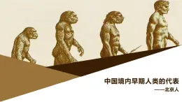 部編版歷史與社會(huì)七年級(jí)上冊(cè) 第1課中國(guó)境內(nèi)早期人類的代表——北京人（含視頻） 課件