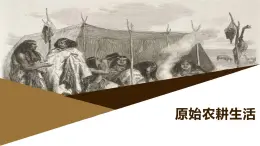 部編版歷史與社會(huì)七年級(jí)上冊(cè) 第2課原始農(nóng)耕生活（含視頻） 課件