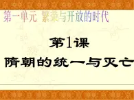 人教部編版初中七年級(jí)下冊(cè)歷史-第1課 隋朝的統(tǒng)一與滅亡【課件9】