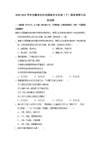 2020-2021学年安徽省安庆市桐城市七年级（下）期末道德与法治试卷 word版，含解析