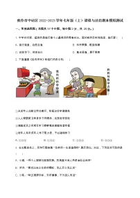 河南省焦作市中站区2022-2023学年七年级（上）道德与法治期末模拟测试（含解析）