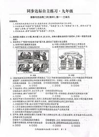 安徽省安庆市桐城市2023-2024学年九年级上学期11月期中道德与法治试题
