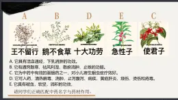 部編版2024道德與法治七年級(jí)下冊6.1《歷久彌新的思想理念》 課件