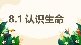 8.1 認(rèn)識生命——初中道德與法治統(tǒng)編版（2024）七年級上冊教學(xué)課件