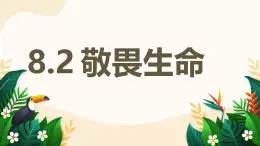 8.2 敬畏生命——初中道德與法治統(tǒng)編版（2024）七年級上冊教學(xué)課件